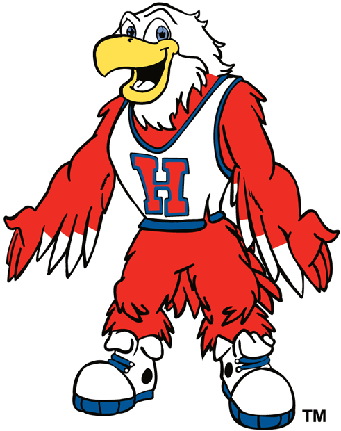 Hartford Hawks 1984-Pres Mascot Logo t shirts iron on transfers v2